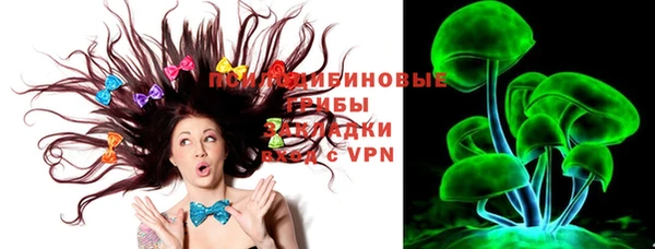 сатива Кинешма