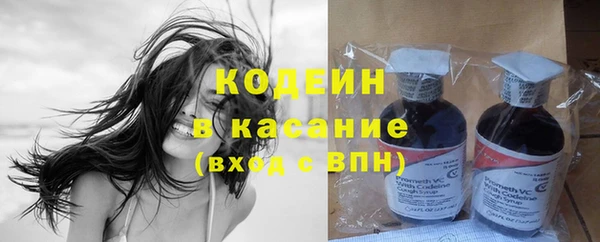 сатива Кинешма