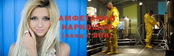сатива Кинешма