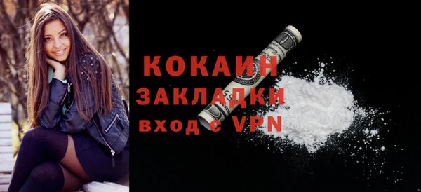 сатива Кинешма