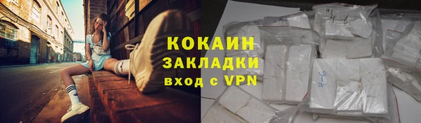 сатива Кинешма