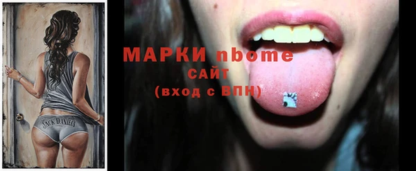 сатива Кинешма
