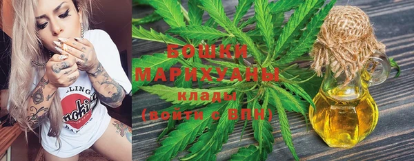 сатива Кинешма
