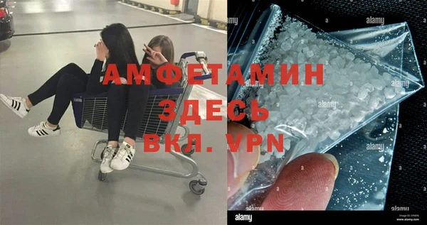сатива Кинешма