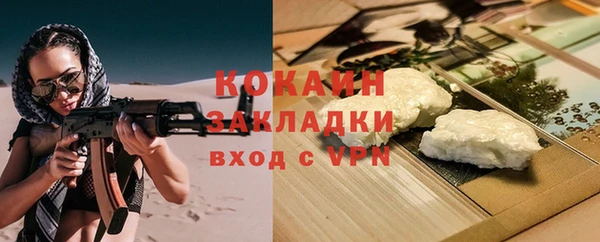 сатива Кинешма