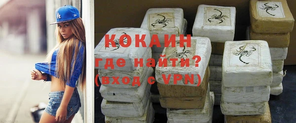 сатива Кинешма