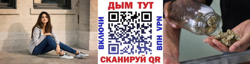 Канабис сатива  Купить где  Грязи 
